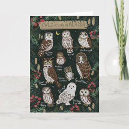 Cartão Corujas encontradas no Alaska Greeting Card