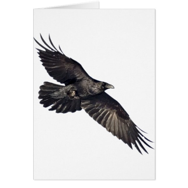 Cartão Corvo do vôo (Frente)
