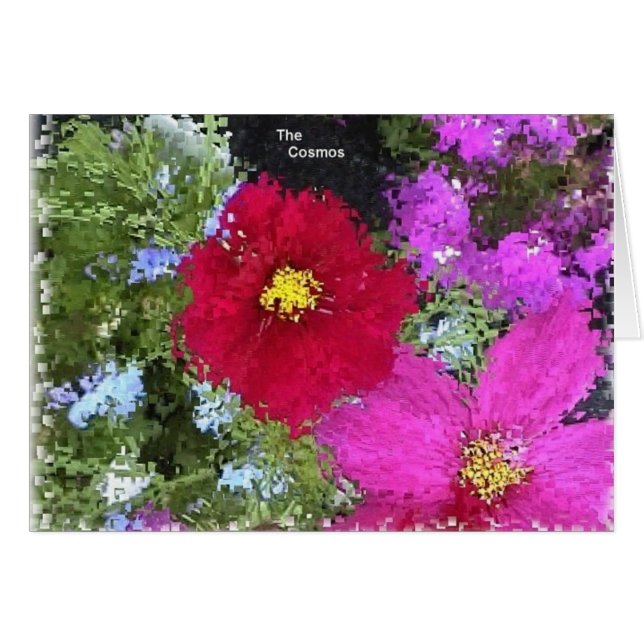 Cartão cosmos (Frente Horizontal)