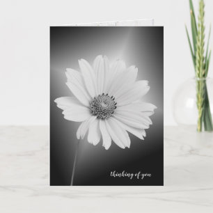 Cartão cosmos brancos brilhantes pensando em você