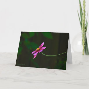 Cartão Cosmos Flowers-Gratidão: com Citação