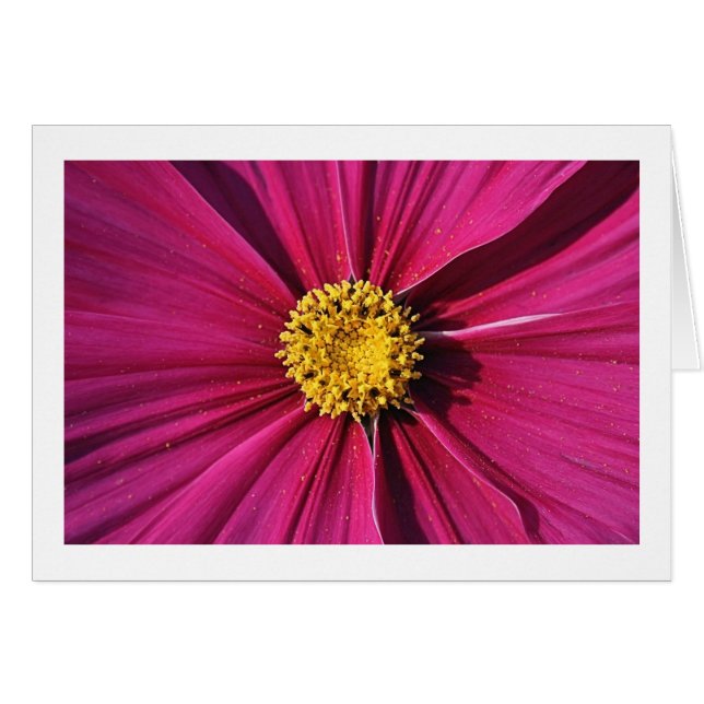 Cartão Cosmos interno (Frente Horizontal)