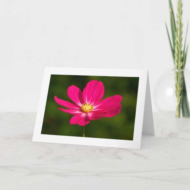 Cartão Cosmos Rosa (Bordado) (Frente)
