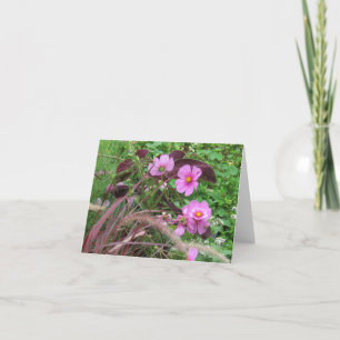 Cartão Cosmos Rosa com Coleus