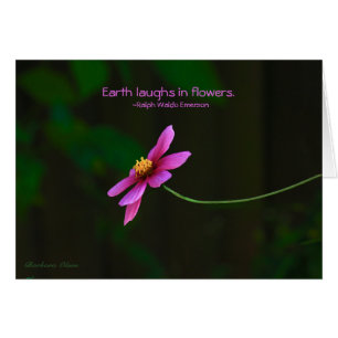 Cartão Cosmos:Terra Ri em Flores