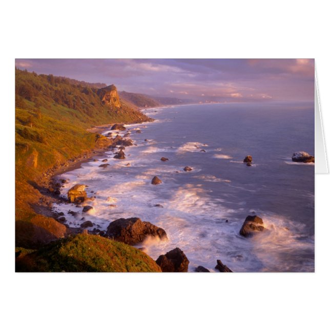 Cartão Costa de Redwoods, Califórnia (Frente Horizontal)