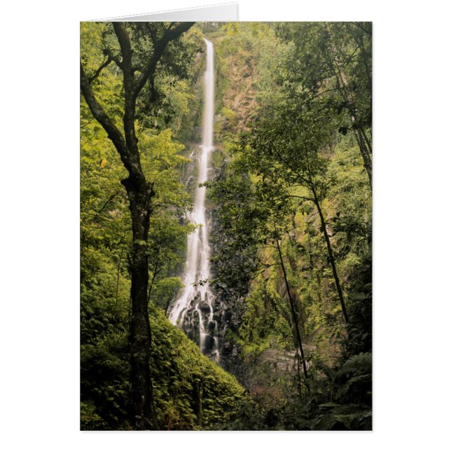 Cartão Costa Rica, Ilha Cocos, Wafer Bay Waterfall (Frente)