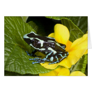 Cartão Costa Rica, Península de Osa