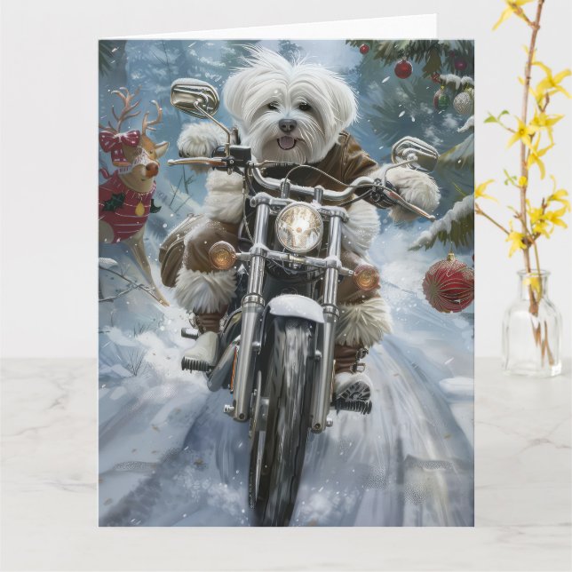 Cartão Coton De Tulear Cachorro Dirigindo Motocicleta Nat (Flor Amarela)