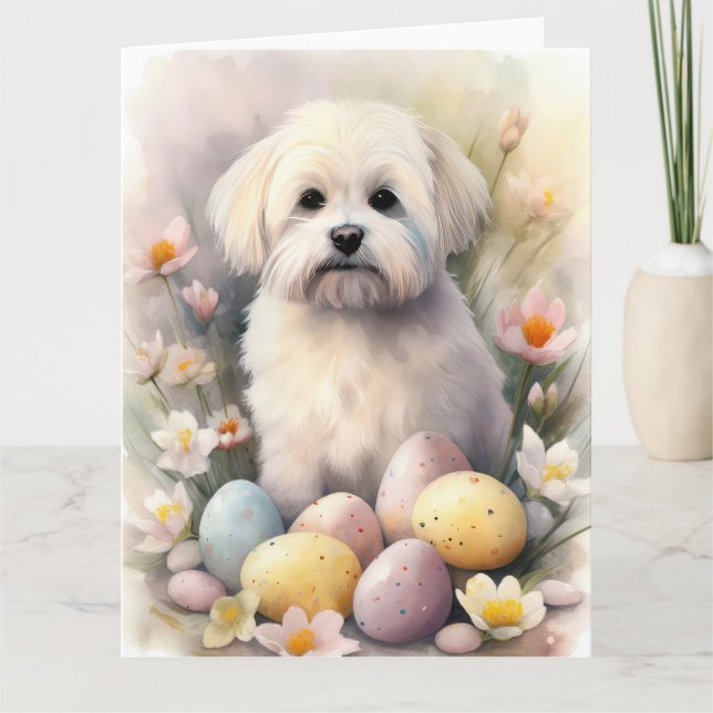 Cartão Coton De Tulear com Ovos da Páscoa Feriado (Frente)