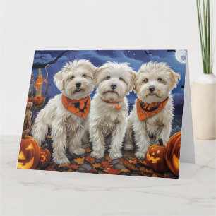 Cartão Coton De Tulear Halloween Spooky