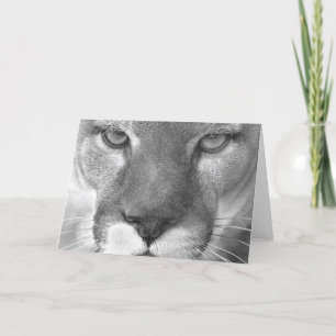 Cartão Cougar #1-Greeting card