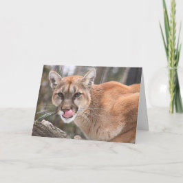 Cartão Cougar Big Cat Notecard