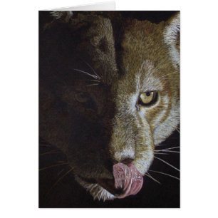 Cartão Cougar Night