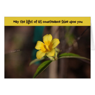 Cartão Countenance em Carolina