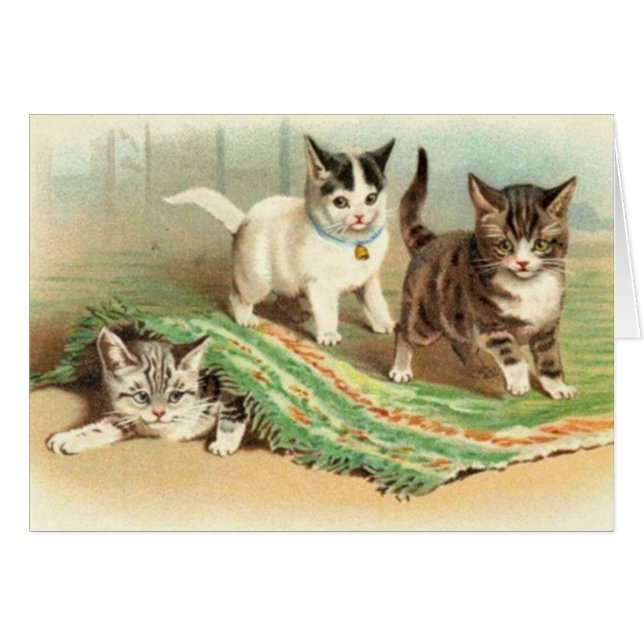 Cartão Couro cru dos gatinhos - e - busca (Frente Horizontal)