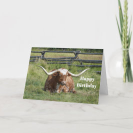 Cartão Cow Texas Longhorn Photo Birthday