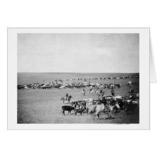 Cartão Cowboys with Cattle on the Range Photoião