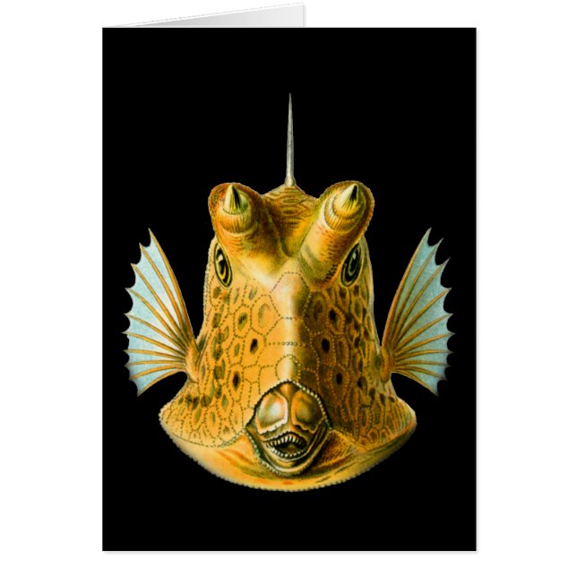 Cartão Cowfish Longo-horned (Frente)