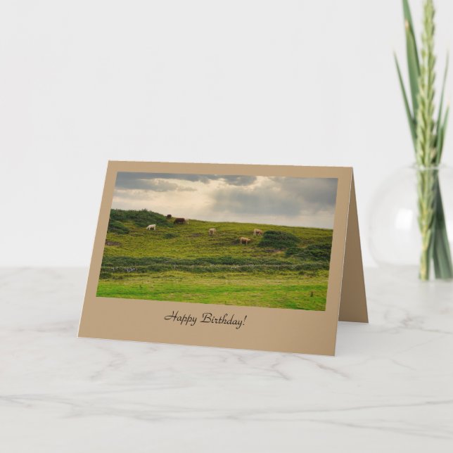 Cartão Cows in Pasture Birthday Greeting Card  (Frente)