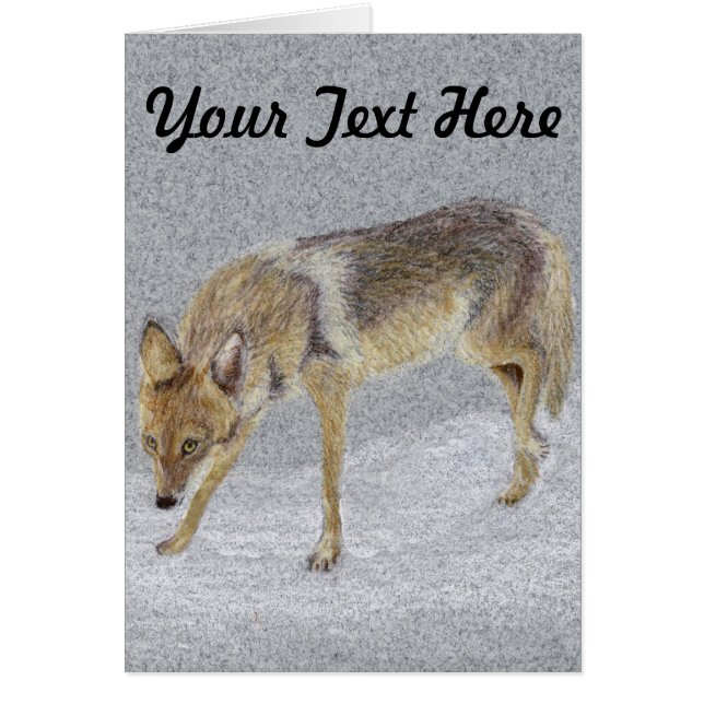 Cartão Coyote (Frente)