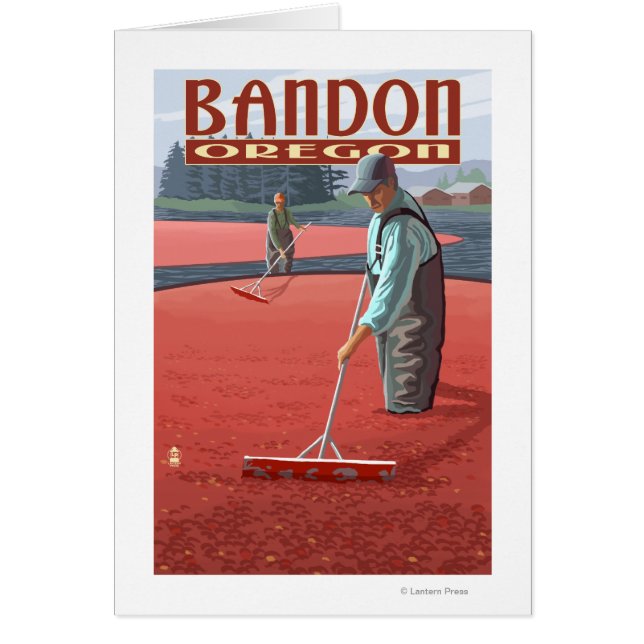 Cartão Cranberry Bogs Harvest - Bandon, Oregon (Frente)