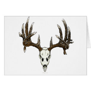 Cartão Crânio 1 dos cervos de Whitetail