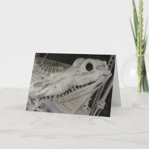 Cartão Crânio de Gator Decorativo