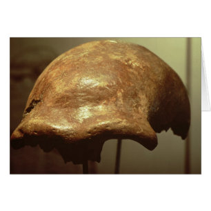 Cartão Crânio de um Neanderthal