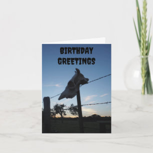 Cartão crânio de vaca escuro