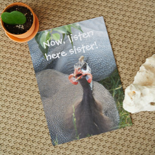 Cartão Cranky Guiné Fowl Foto Engraçada Aniversário