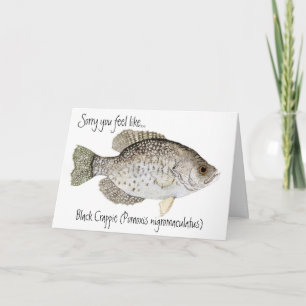 Cartão Crappie get well card