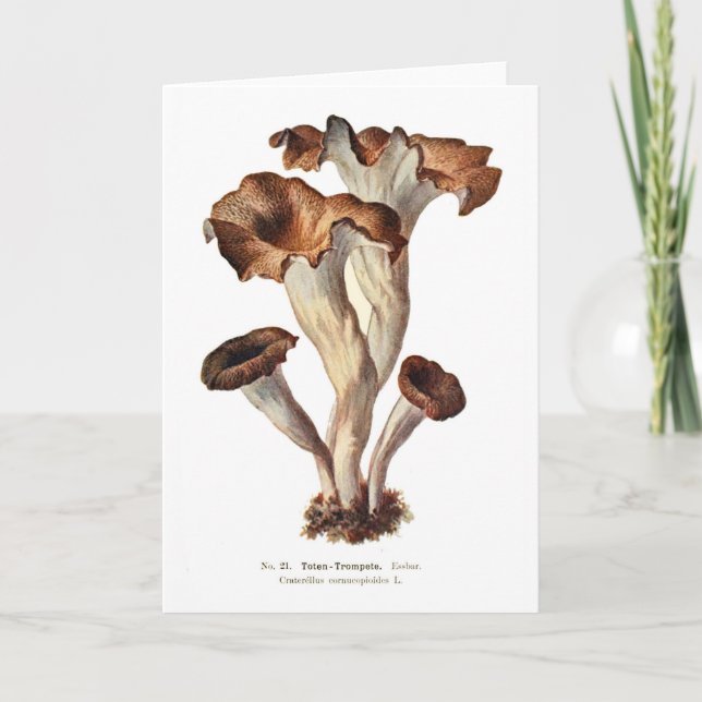 Cartão Craterellus cornucopioides (Frente)