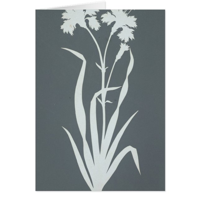 Cartão Cravo (Frente)