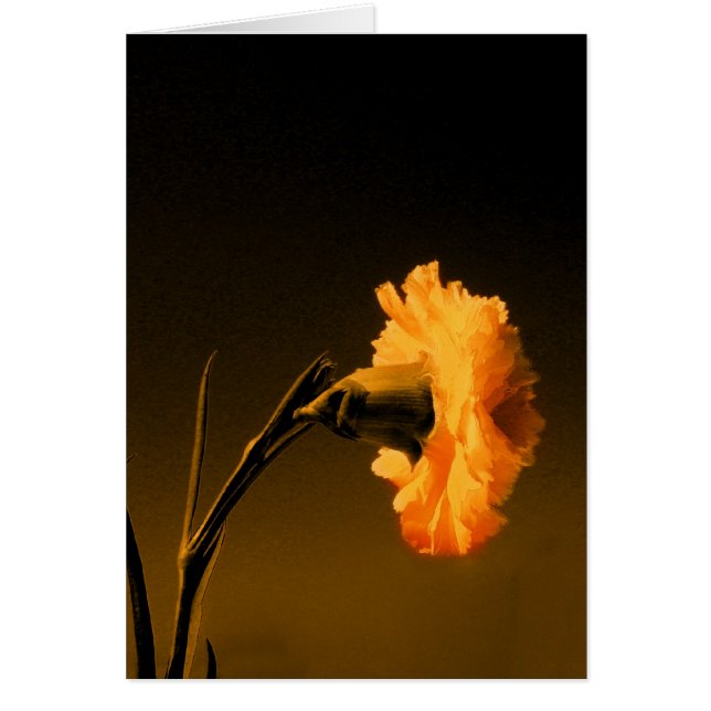 Cartão cravo 2 (Frente)