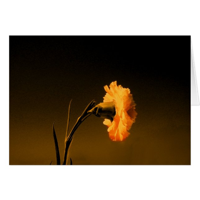 Cartão cravo 2 (Frente Horizontal)