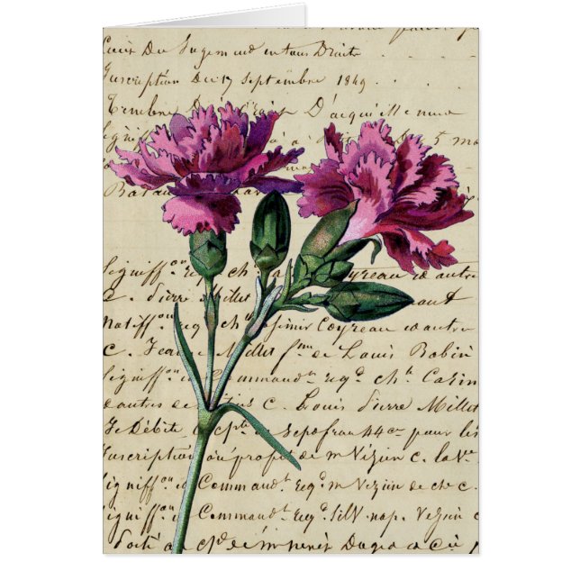 Cartão cravo vintage (Frente)