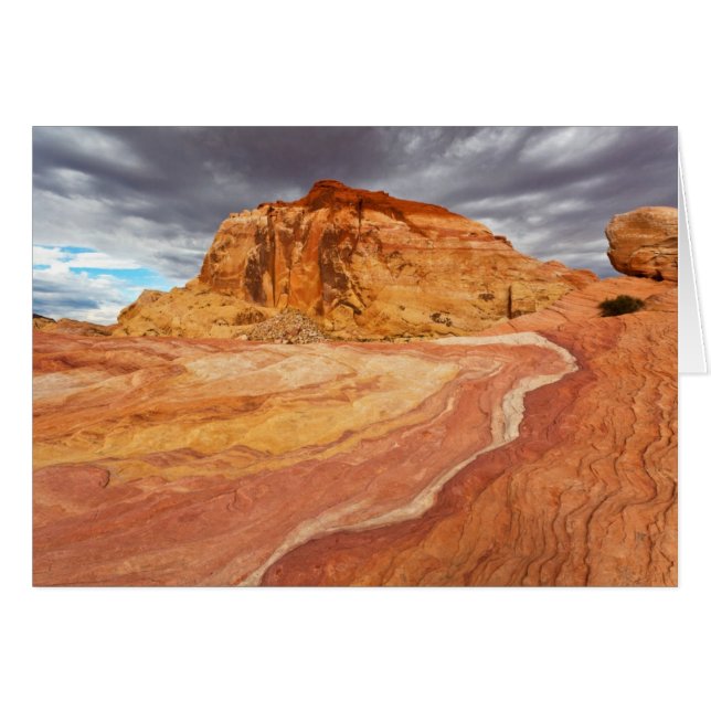 Cartão Crazy Hill Tempest (Frente Horizontal)