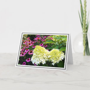 Cartão Creamy White Hydrangea and Pink Cone Flowers