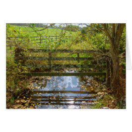 Cartão Creek oculto