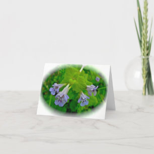 Cartão Creeping Charlie Ground Ivy Note Card