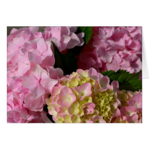 Cartão Creme cor-de-rosa Hydrangeas amarelas cor-de-rosa