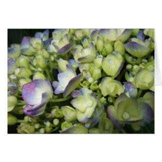 Cartão Creme & Roxo