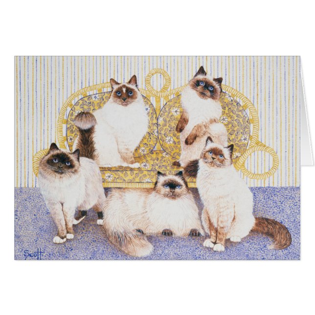 Cartão Cremes de chocolate (Frente Horizontal)