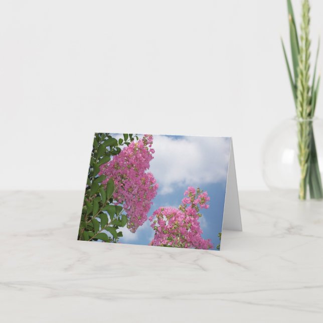 Cartão Crepe Myrtle Notecard (Frente)