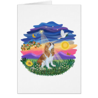 Cartão Crepúsculo - Blenheim Cavalier (F)