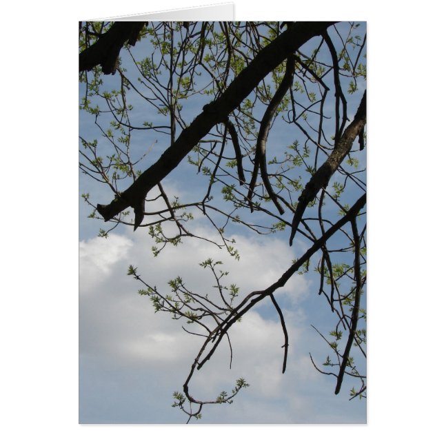 Cartão Crescimento primavera (Frente)