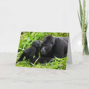 Cartão Criança Montanha Gorilla Kisses Silverback Gorilla