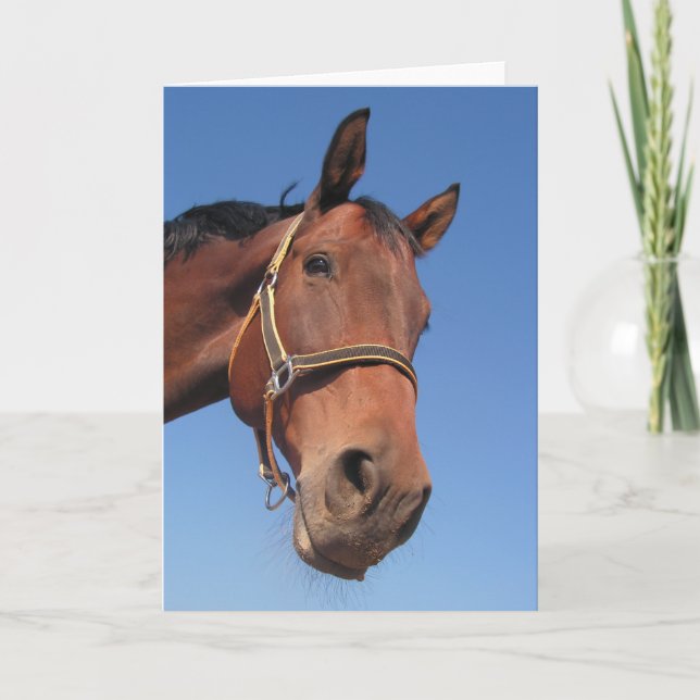 Cartão Criar seu próprio presente feito sob encomenda da (Frente)