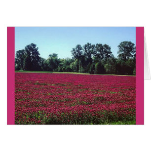 Cartão Crimson Clover Field